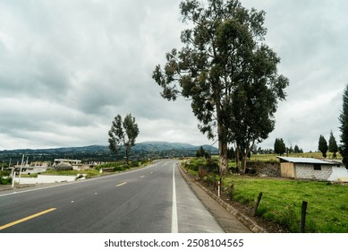 A freshly paved road stretches into the distance, flanked by lush green trees on either side under a cloudy sky. The wet pavement reflects the overcast weather, creating a moody atmosphere. The image  - Powered by Shutterstock