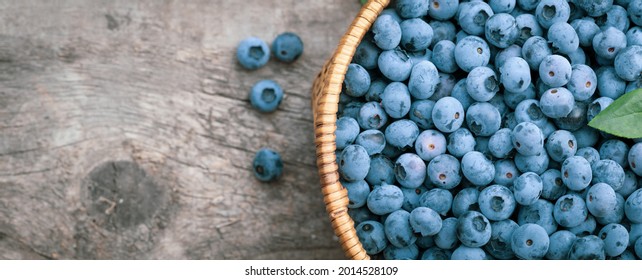 Freshly picked blueberries in a wicker basket. Juicy and fresh blueberries with green leaves on the rustic wooden table surface. The concept for healthy eating and nutrition.