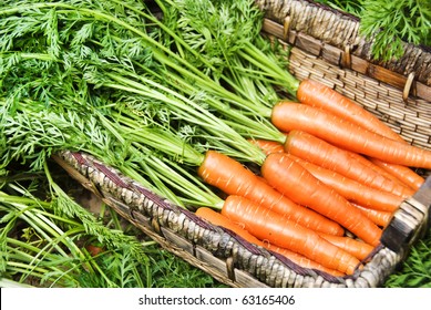 Freshly picked carrots in a carrot field