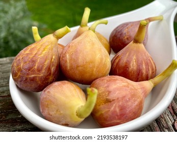 Freshly Picked Celeste Figs Laid Out on a Plate 