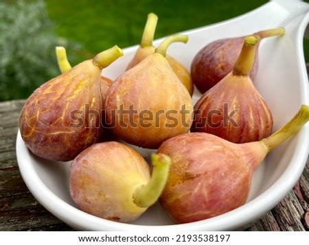 Freshly Picked Celeste Figs Laid Out on a Plate 