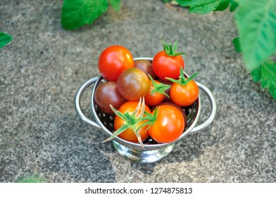 tiny colander