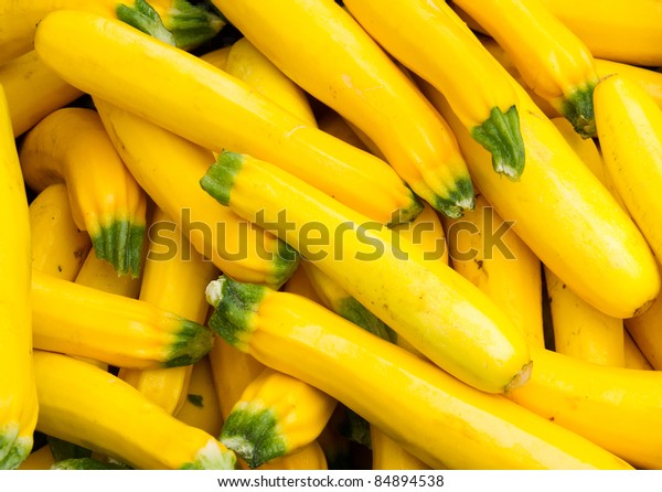 Freshly picked colorful yellow squash on display\
at the farmers market