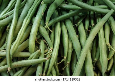 Freshly Picked Green Or Snap Beans