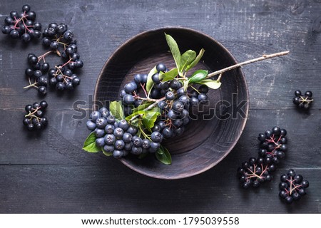 Freshly picked homegrown aronia berries in wooden bowl