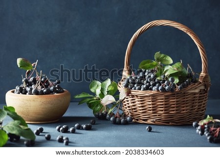 Freshly picked homegrown aronia berries with leaves