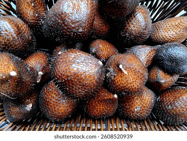 freshly picked honey snake fruit from the tree