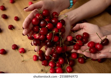 Freshly Picked Juicy Cherries Held in Hands Resting on a Rustic Wooden Table Surface - Powered by Shutterstock