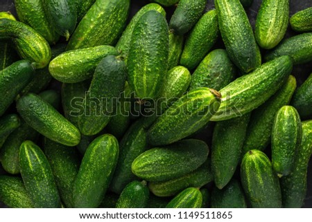 Similar – It’s pickling cucumber time again / washed pickled cucumbers