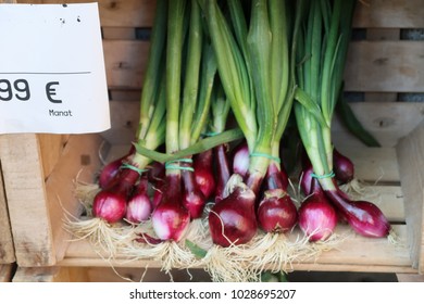 Freshly Picked Red Onion