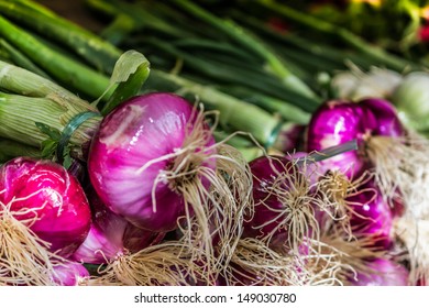 Freshly Picked Red Onions