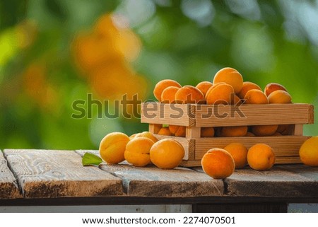 Freshly picked ripe apricots in a wooden box on a table in the summer garden on a rustic table.