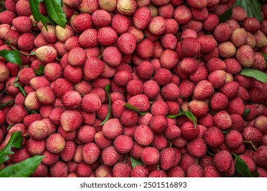 Freshly picked ripe lychees, ready for sale at the market. Vibrant colors and juicy sweetness of this tropical delight, straight from the orchard to your table. Lychee, Litchi, Lichee, fruit - Powered by Shutterstock