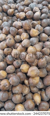 Freshly Picked Salak Fruits, A mesmerizing view of freshly harvested, golden-brown salak fruits, neatly arranged and ready for market