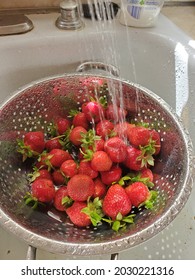 Freshly picked strawberries are washed in a metal collander in a white sink. 