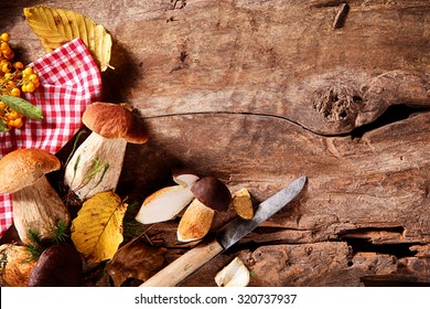 Freshly Picked Wild Autumn Mushrooms From The Forest Being Prepared And Sliced On A Rustic Wooden Kitchen Counter With Copyspace, Overhead View