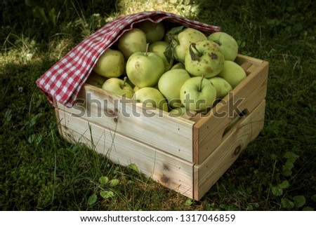 Similar – Image, Stock Photo Fresh apples in the orchard