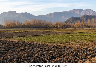 freshly plowed agriculture fields in winter