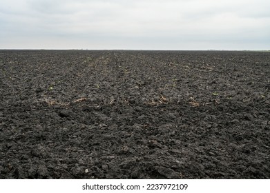 Freshly plowed field ready for seeding and planting. Empty plowed land pin winter. Black soil.