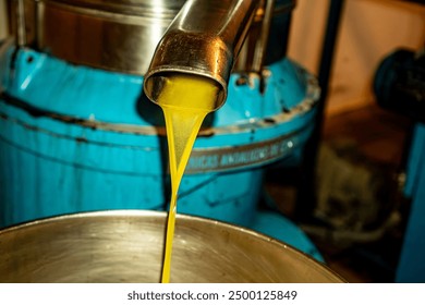 Freshly pressed olive oil in an oil mill - Powered by Shutterstock