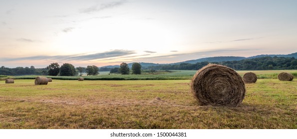 Freshly Rolled Bales Of Hay Rest On A Field At Sunrise In Sussex County, NJ, Late Summer