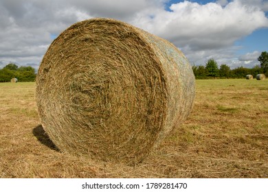 Freshly Rolled Hay Bail In A Meadow