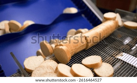 Freshly sliced bread is systematically moved along a metal conveyor belt. Production of rusks, industrial production.