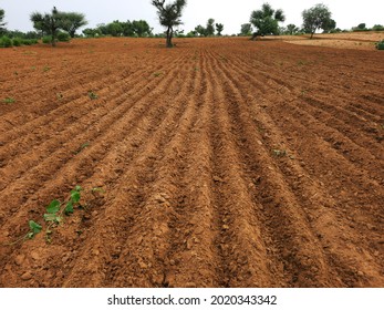 freshly sowed or cultivated agricultural land or field in India - Shutterstock ID 2020343342