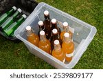 Freshly squeezed apple juice or hard cider in pop top or swing top bottles, outdoors at an orchard Apple Day event in Fall or Autumn