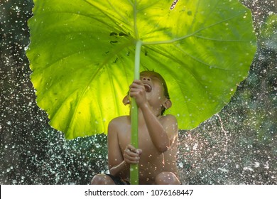 The freshness of the children rural in the rainy season.Happy kid boy playing and hiding under green umbrella nature in rainy autumn day in waterfall or countryside,Thailand,Asia.