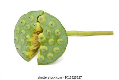Freshness Lotus seed and seedpod isolated on white background