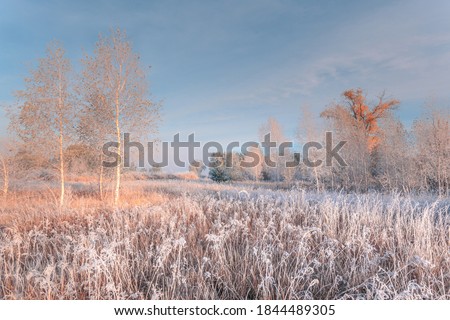 Freshness of November dreamy frosty morning. Beautiful autumn misty cold sunrise landscape. Fog and hoary frost at scenic high grass meadow.