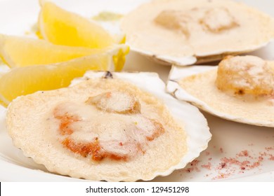 freshness scallop with lemon on white  background