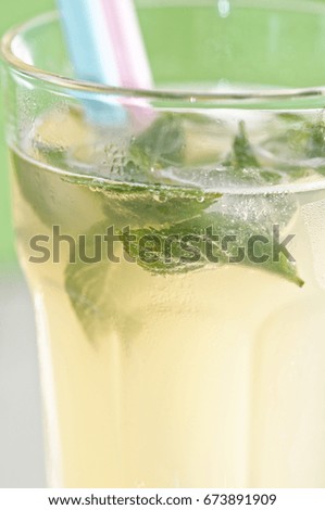 Freshness summer cocktail with mint                