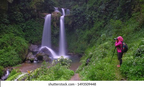 Unduh 4600 Background Air Terjun Hutan HD Terbaru