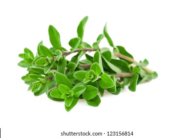 Fresh-picked Marjoram Isolated On White