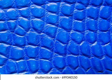 Freshwater Crocodile Belly Skin Texture Background Stock Photo ...