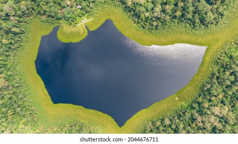 Freshwater Lake On Peatland Protected By Protected Forest