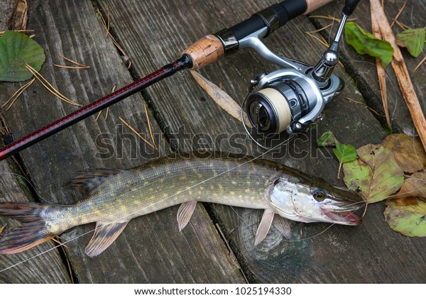 best pike fishing reels