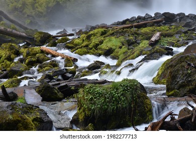 Freshwater Stream In Mt Hood National Forest