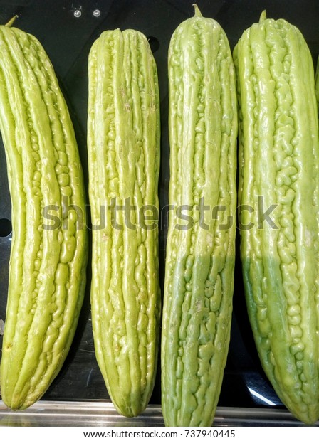 Freshy Green Bitter Gourd Stock Image Download Now