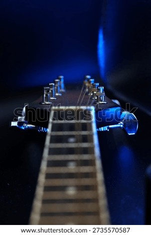 The fret board of a stringed instrument