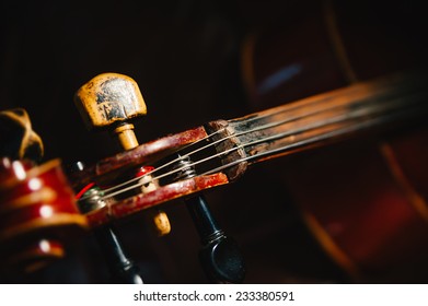 fretboard of old shabby cello on a black backgrounds. Selective soft focus on string - Powered by Shutterstock