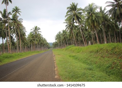 Freway In Espiritu Santo, Vanuatu, Oceania