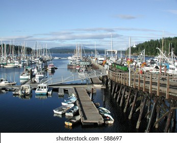 Friday Harbor