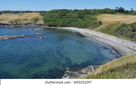 Friday Harbor Coastline 