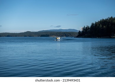 Friday Harbor, WA USA - Circa November 2021: View Of A Sea Plane Landing At The Harbor On San Juan Island On A Bright, Sunny Day In The Fall.