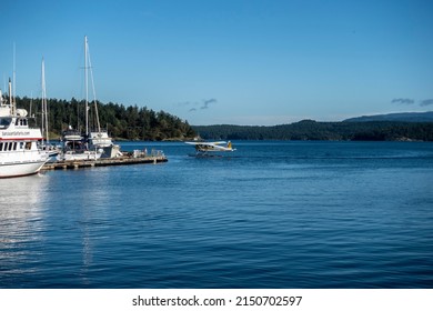 Friday Harbor, WA USA - Circa November 2021: View Of A Sea Plane Landing At The Harbor On San Juan Island On A Bright, Sunny Day In The Fall.