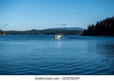 Friday Harbor, WA USA - Circa November 2021: View Of A Sea Plane Landing At The Harbor On San Juan Island On A Bright, Sunny Day In The Fall.