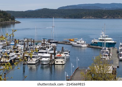 FRIDAY HARBOR, WASHINGTON, USA - APR 6, 2022: Marina of Friday Harbor in Washington state on a sunny spring day.